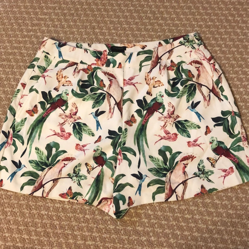 Ann Taylor Factory Printed Shorts